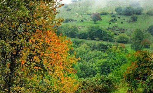 پاییز روستای‌ بالان/کلیبر 📷 عکس: یونس حیدری
