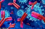 محققان دانشگاه “آکسفورد”: عفونت مجدد به کروناویروس دستکم تا ۶ ماه بعید است