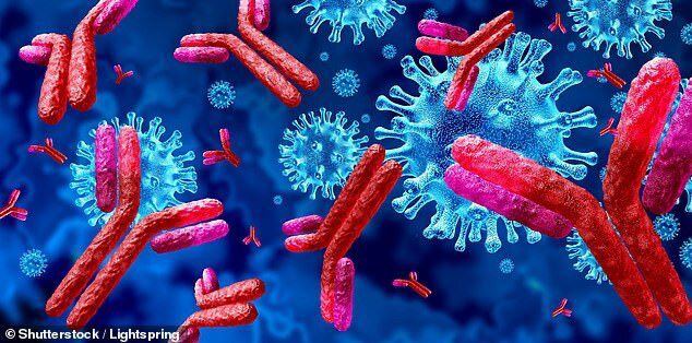محققان دانشگاه “آکسفورد”: عفونت مجدد به کروناویروس دستکم تا ۶ ماه بعید است