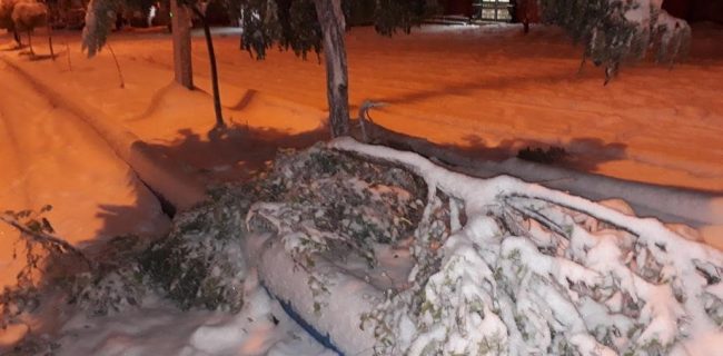 بارش اولین برف پاییزی۹۹در شهرستان تکاب
