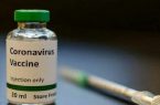 سازمان غذا و دارو: پیش بینی تامین واکسن کرونا تا دو ماه آینده