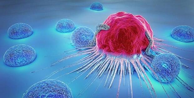 🔸دانشمندان با تکنیک «مولکول‌های ارتعاشی» موفق به نابودی ۹۹ درصد از سلول‌های سرطانی شدند